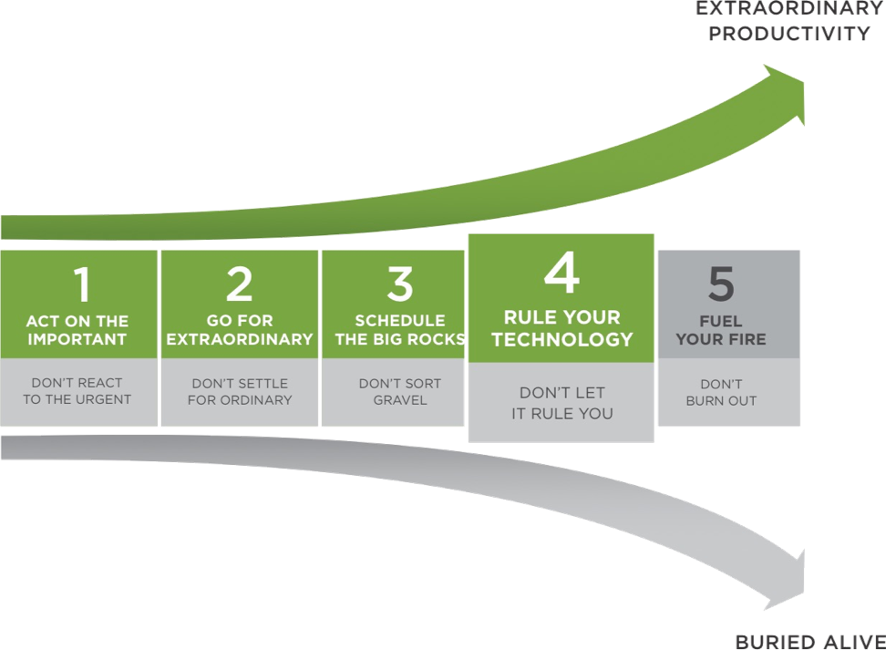 The 5 choices